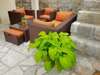 Апартаменты Mediterraneo Peani-1